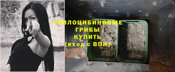ПСИЛОЦИБИНОВЫЕ ГРИБЫ Армянск
